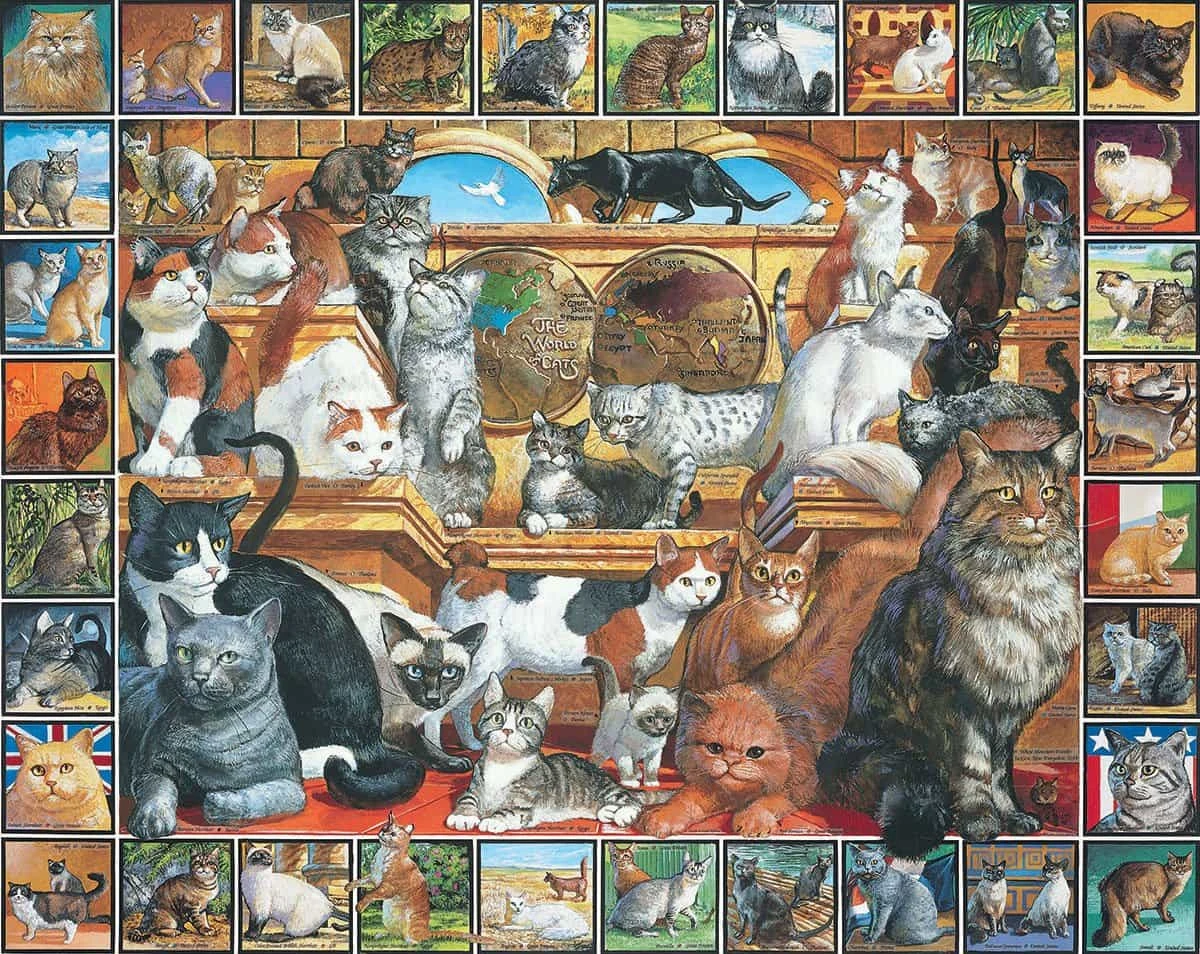 World Of Cats (135pz) - DISCONTINUED 3 World Of Cats (135pz) - DISCONTINUED