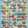 State Birds & Flowers (140pz)- 1000 Piece Jigsaw Puzzle 2 State Birds & Flowers (140pz)- 1000 Piece Jigsaw Puzzle -WHITE MOUNTAIN PUZZLES Sales 140 state birds flowers 1200