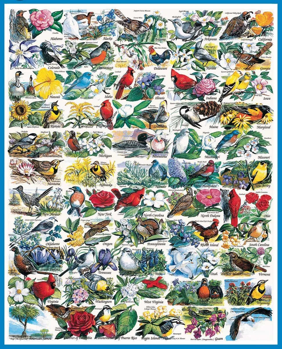 State Birds & Flowers (140pz)- 1000 Piece Jigsaw Puzzle 3 State Birds & Flowers (140pz)- 1000 Piece Jigsaw Puzzle