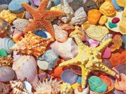 Beach Shells (1486pz) - 500 Pieces