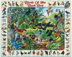 Birds Of The Back Yard (267pz) - 1000 Piece Jigsaw Puzzle